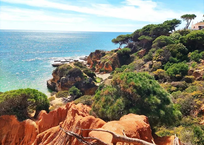 Modern Ocean, Garden & Pool View By Becherish 알부페이라